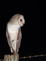 Atherton Tablelands 5D-Mark-IV_AS_171226_9146.jpg