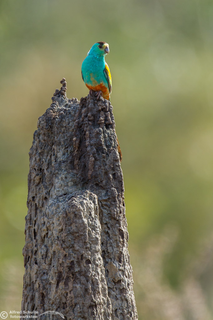 EOS7D2_6423.jpg
