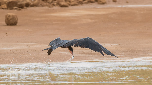 Christmas Island 7DII_AS_151213_1343.jpg