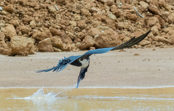 Christmas Island 7DII_AS_151213_1416.jpg