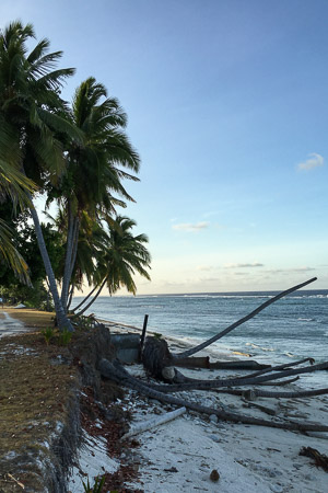 Phone-6S-Ali_151212_2483.jpg Phone-6S-Ali_151212_2483.jpg