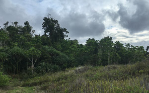 Phone-6S-Ali_151215_2492.jpg Phone-6S-Ali_151215_2492.jpg