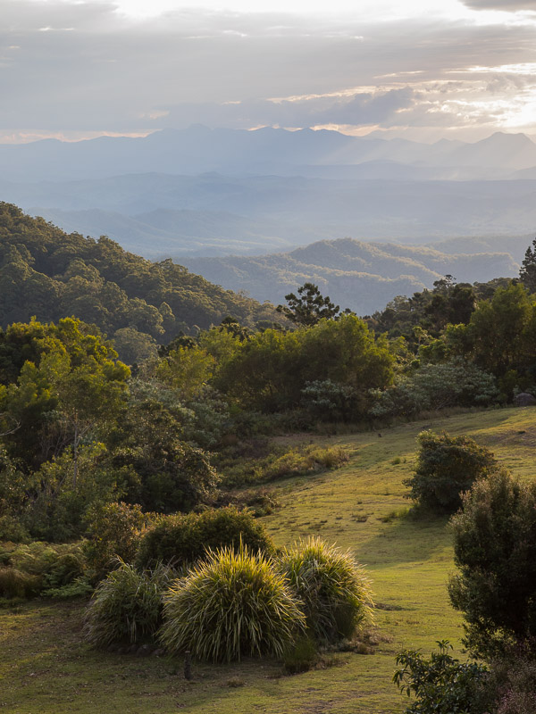 O' Reilly's 5DIV_AS_170414_0128.jpg