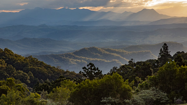 O' Reilly's 5DIV_AS_170414_0130.jpg