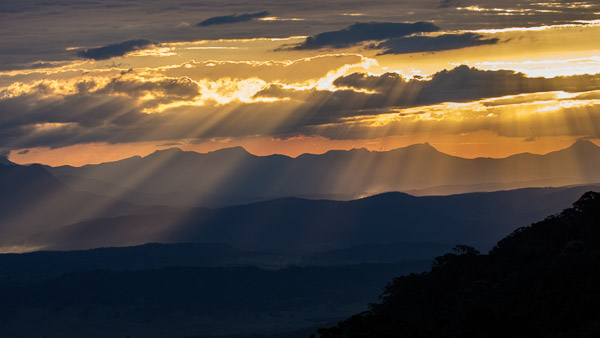 O' Reilly's 5DIV_AS_170414_0142.jpg