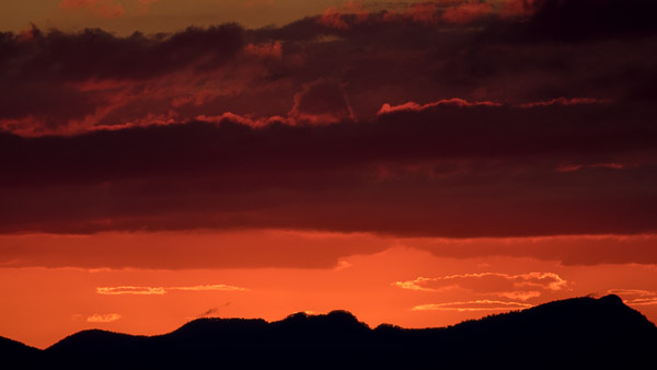 O' Reilly's 5DIV_AS_170414_0178.jpg