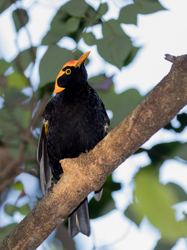 Easter 2017 5DIV_AS_170416_0324.jpg