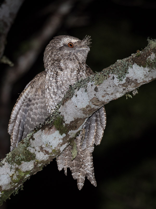 Easter 2017 5DIV_AS_170416_0330.jpg