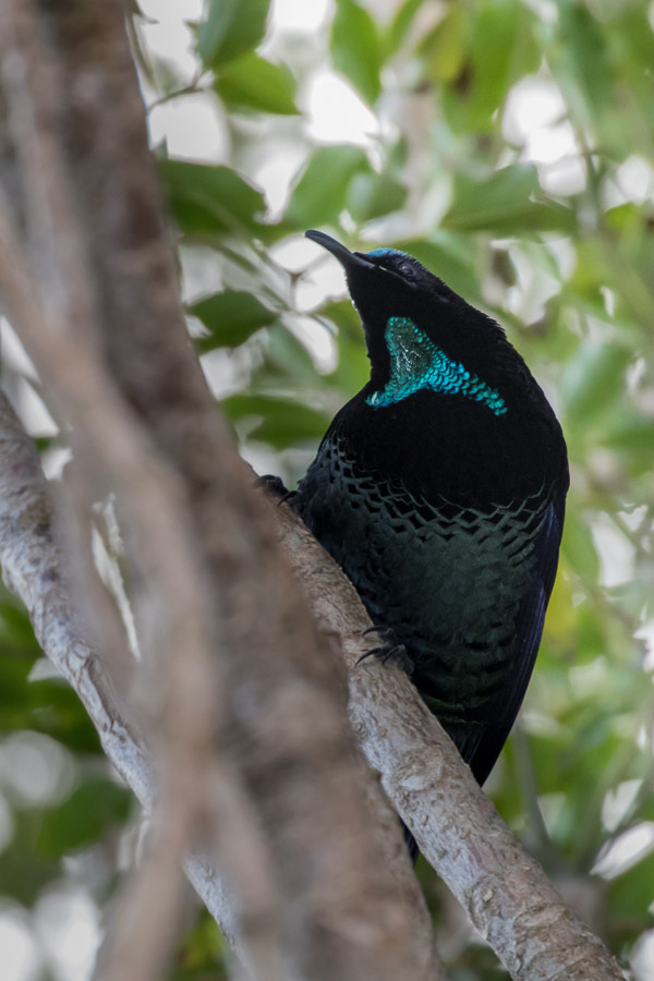 Easter 2017 5DIV_AS_170417_0467.jpg