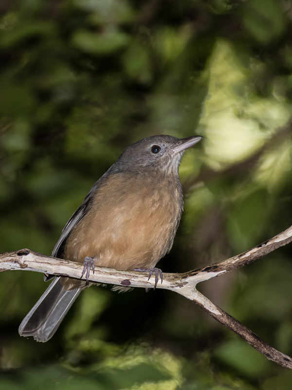 Easter 2017 5DIV_AS_170419_0556-Bearbeitet.jpg