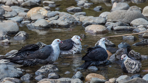 Easter 2017 5DIV_AS_170419_0578.jpg