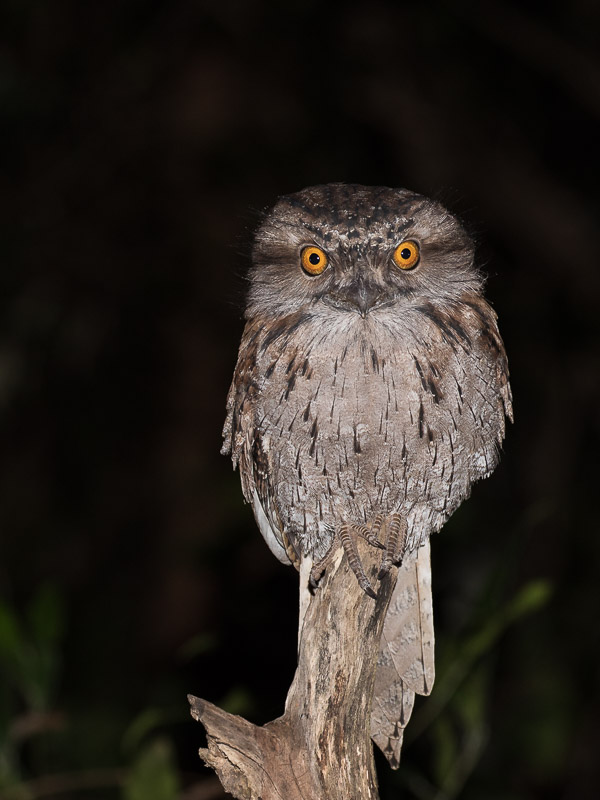 Easter 2017 5DIV_AS_170419_0727.jpg