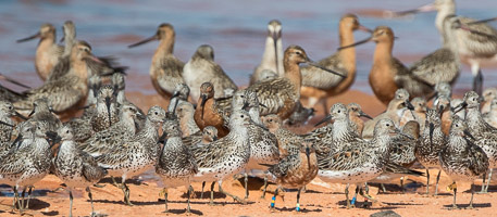 7D-Mark-II_AS_180329_9688.jpg 7D-Mark-II_AS_180329_9688.jpg