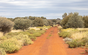 5D-Mark-IV_AS_180526_2715.jpg 5D-Mark-IV_AS_180526_2715.jpg