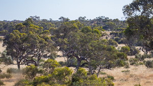 5D-Mark-IV_AS_180527_2757.jpg 5D-Mark-IV_AS_180527_2757.jpg