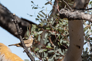 5D-Mark-IV_AS_180527_2797.jpg 5D-Mark-IV_AS_180527_2797.jpg