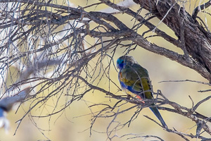 5D-Mark-IV_AS_180529_2923.jpg 5D-Mark-IV_AS_180529_2923.jpg