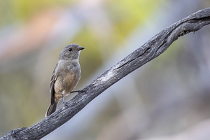 5D-Mark-IV_AS_180531_2955.jpg 5D-Mark-IV_AS_180531_2955.jpg