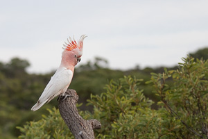 5D-Mark-IV_AS_180531_3005.jpg 5D-Mark-IV_AS_180531_3005.jpg