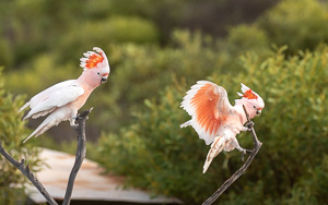 5D-Mark-IV_AS_180531_3071.jpg 5D-Mark-IV_AS_180531_3071.jpg