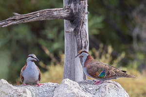 5D-Mark-IV_AS_180531_3094.jpg 5D-Mark-IV_AS_180531_3094.jpg