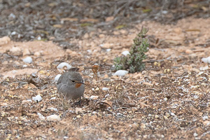 5D-Mark-IV_AS_180601_3189.jpg 5D-Mark-IV_AS_180601_3189.jpg