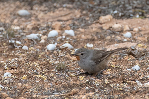 5D-Mark-IV_AS_180601_3191.jpg 5D-Mark-IV_AS_180601_3191.jpg