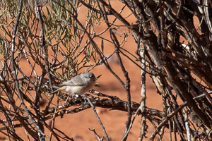 5D-Mark-IV_AS_180605_3531.jpg 5D-Mark-IV_AS_180605_3531.jpg