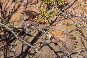 5D-Mark-IV_AS_180605_3676-Bearbeitet.jpg 5D-Mark-IV_AS_180605_3676-Bearbeitet.jpg