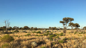 6s_AS_180529_4005.jpg 6s_AS_180529_4005.jpg