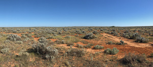 6s_AS_180530_4018.jpg 6s_AS_180530_4018.jpg