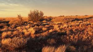 6s_AS_180605_4062.jpg 6s_AS_180605_4062.jpg