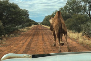 iPhone_6s_AS_180609_3977-2.jpg iPhone_6s_AS_180609_3977-2.jpg