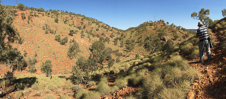 Grasswren Country iPhone_6s_AS_180729_4092.jpg