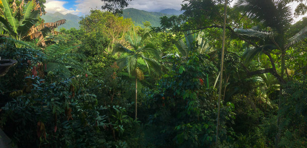 Deck View iPhone_X_AS_240731_2135.jpg