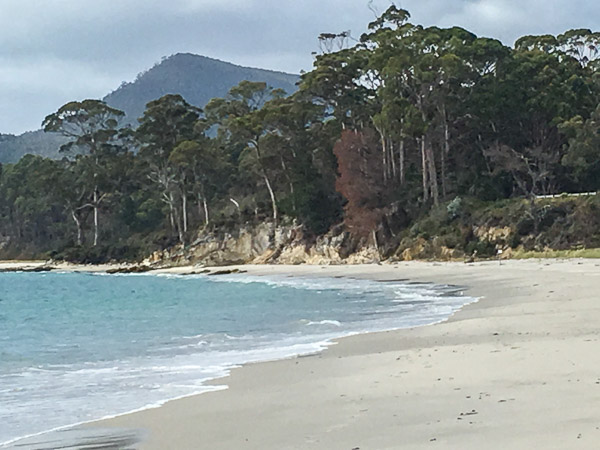 Adventure Bay- Hooded Plover Beach iPhone6s_161227_3176.jpg