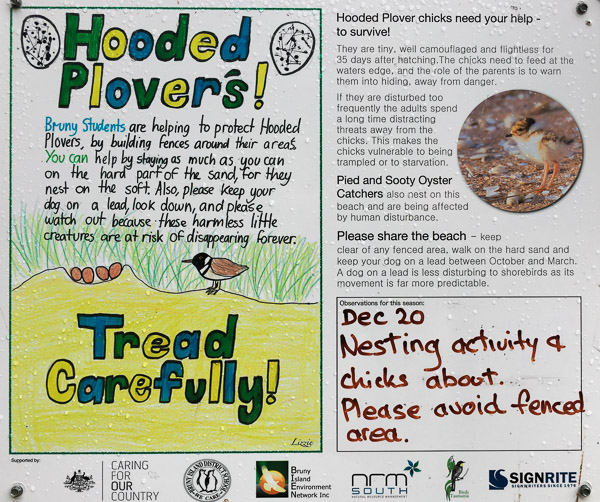 iPhone6s_161229_3183.jpg iPhone6s_161229_3183.jpg