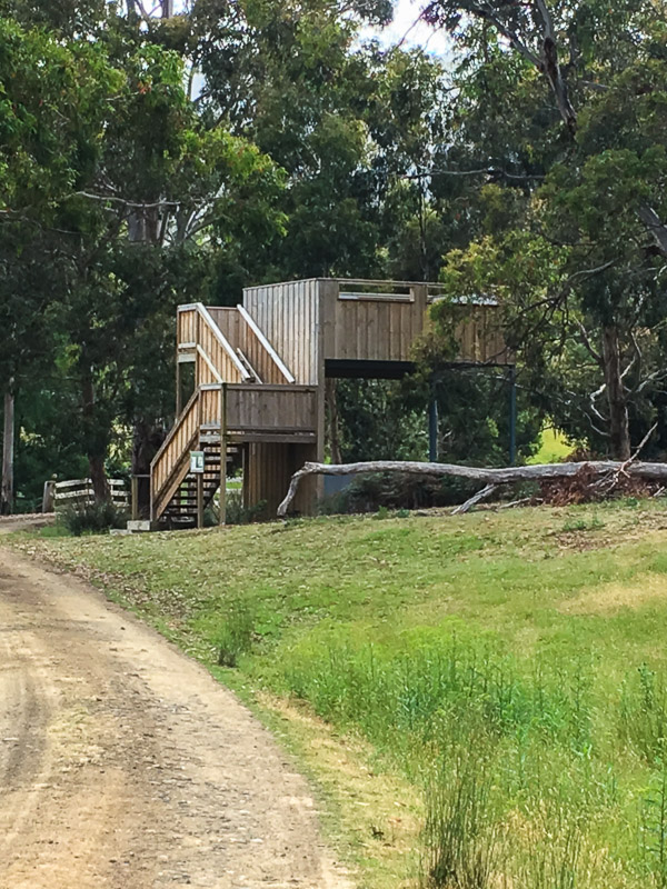 Inala - Pardalote Viewing Plattform iPhone6s_170105_3228.jpg