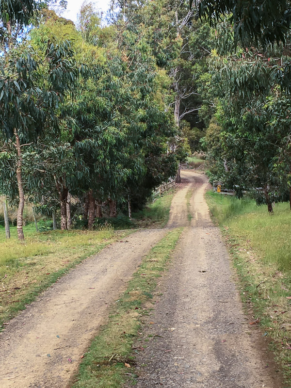 Inala iPhone6s_170105_3231.jpg