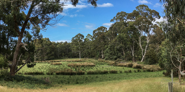Inala iPhone6s_170105_3235-Pano.jpg