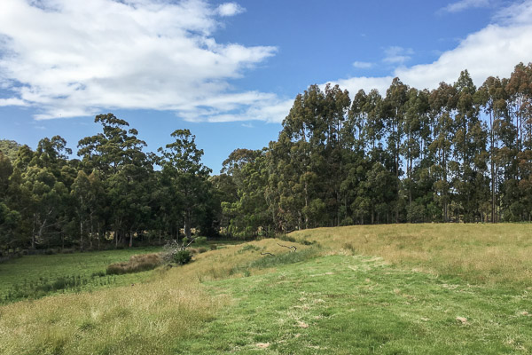 Inala iPhone6s_170105_3240.jpg