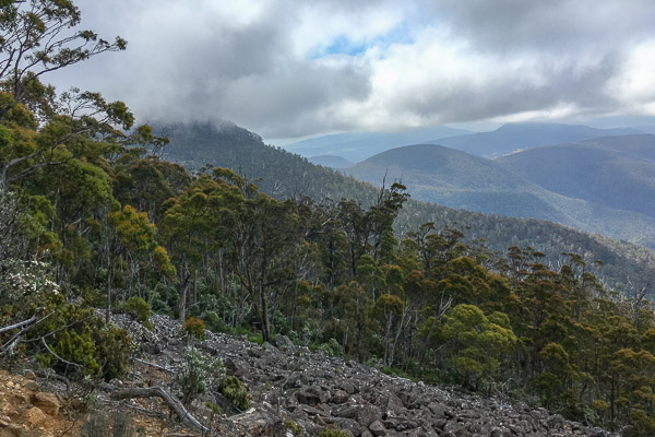 Hobart iPhone6s_170105_3247.jpg