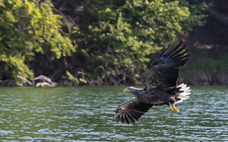 Seeadler R5_AS_210720_0390.jpg