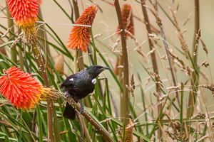 EOS5D_4714.jpg EOS5D_4714.jpg