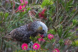 EOS5D_5283.jpg EOS5D_5283.jpg