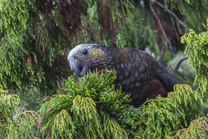 EOS5D_5412.jpg EOS5D_5412.jpg