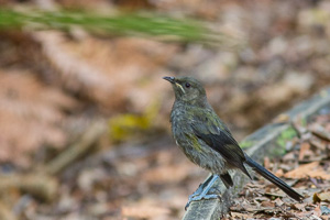 EOS5D_5422.jpg EOS5D_5422.jpg