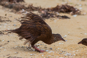 EOS5D_5551.jpg EOS5D_5551.jpg