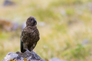 EOS5D_6027.jpg EOS5D_6027.jpg