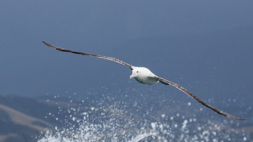 EOS5D_7073.jpg EOS5D_7073.jpg